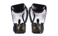 Боксерские перчатки Fairtex BGV premium Reversal 10 oz