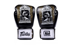 Боксерские перчатки Fairtex BGV premium Reversal 16 oz