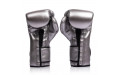 Боксерские перчатки Fairtex BGV9C-PLUS gun metallic 10 oz